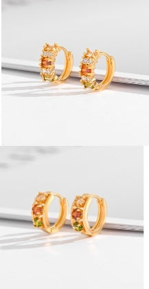 Multi-Style Zircon & Crystal Earrings