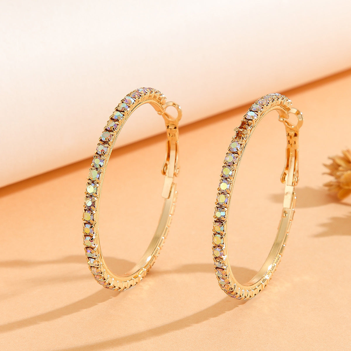 Zircon Inlaid Princess Earrings
