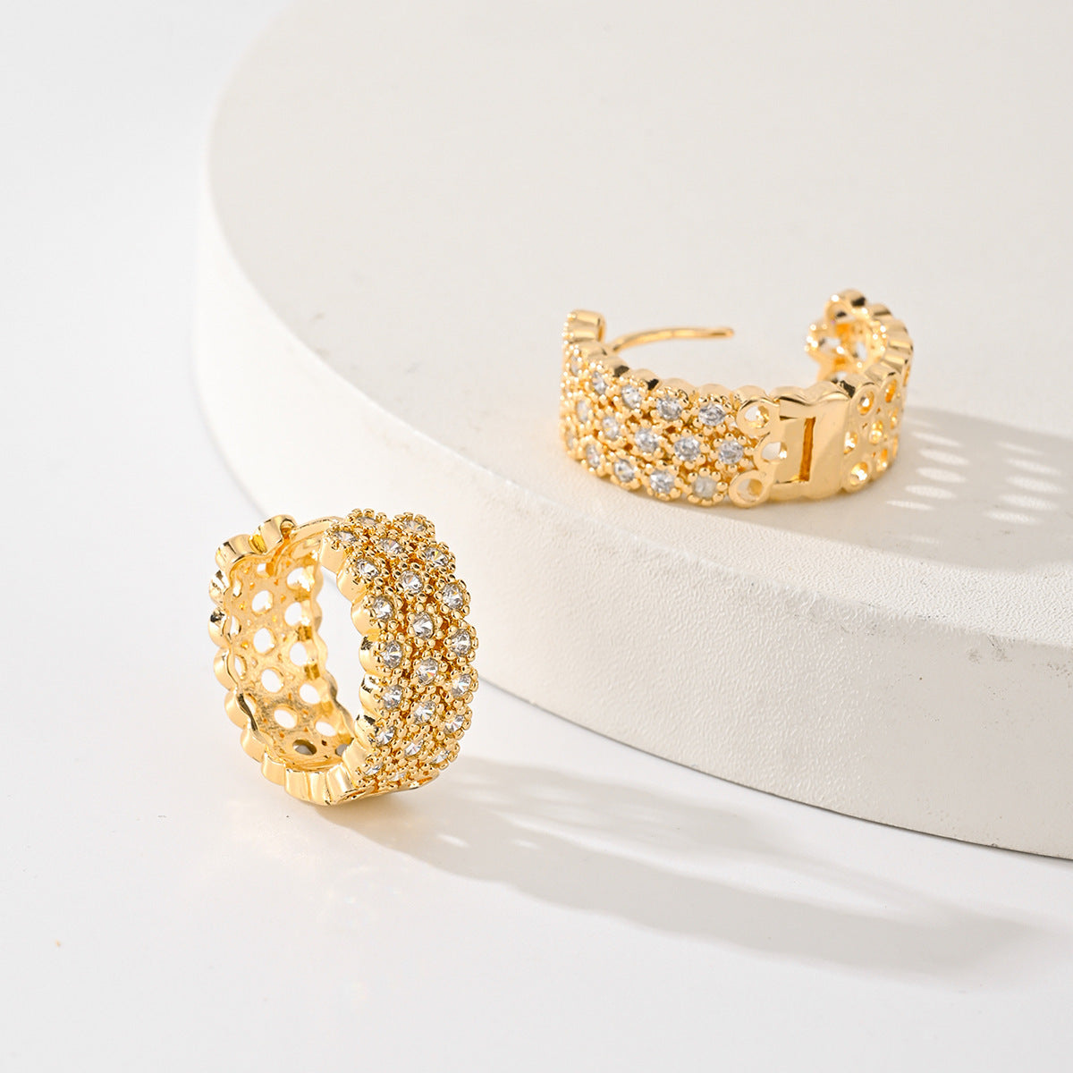 Exquisite Fashion Earrings
