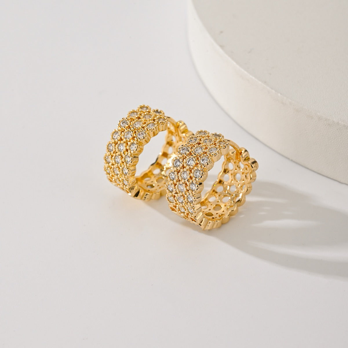 Exquisite Fashion Earrings