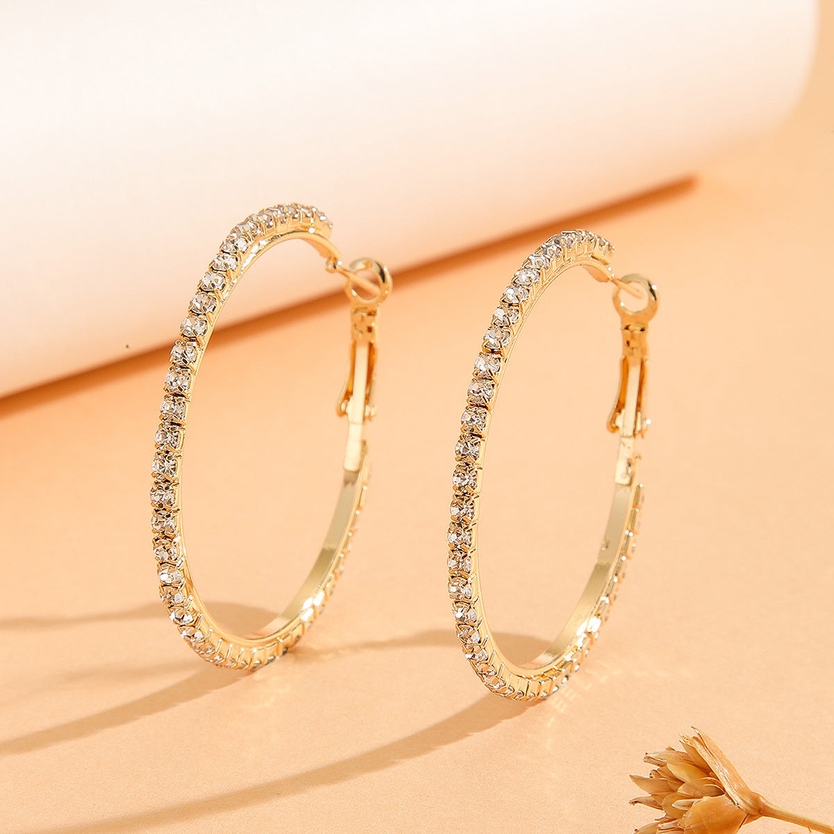 Zircon Inlaid Princess Earrings