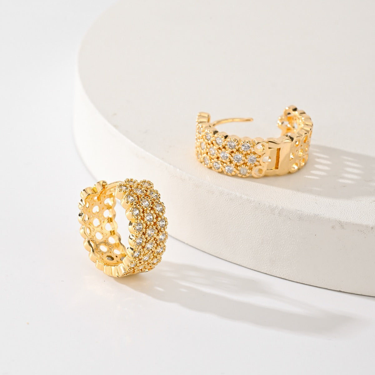Exquisite Fashion Earrings