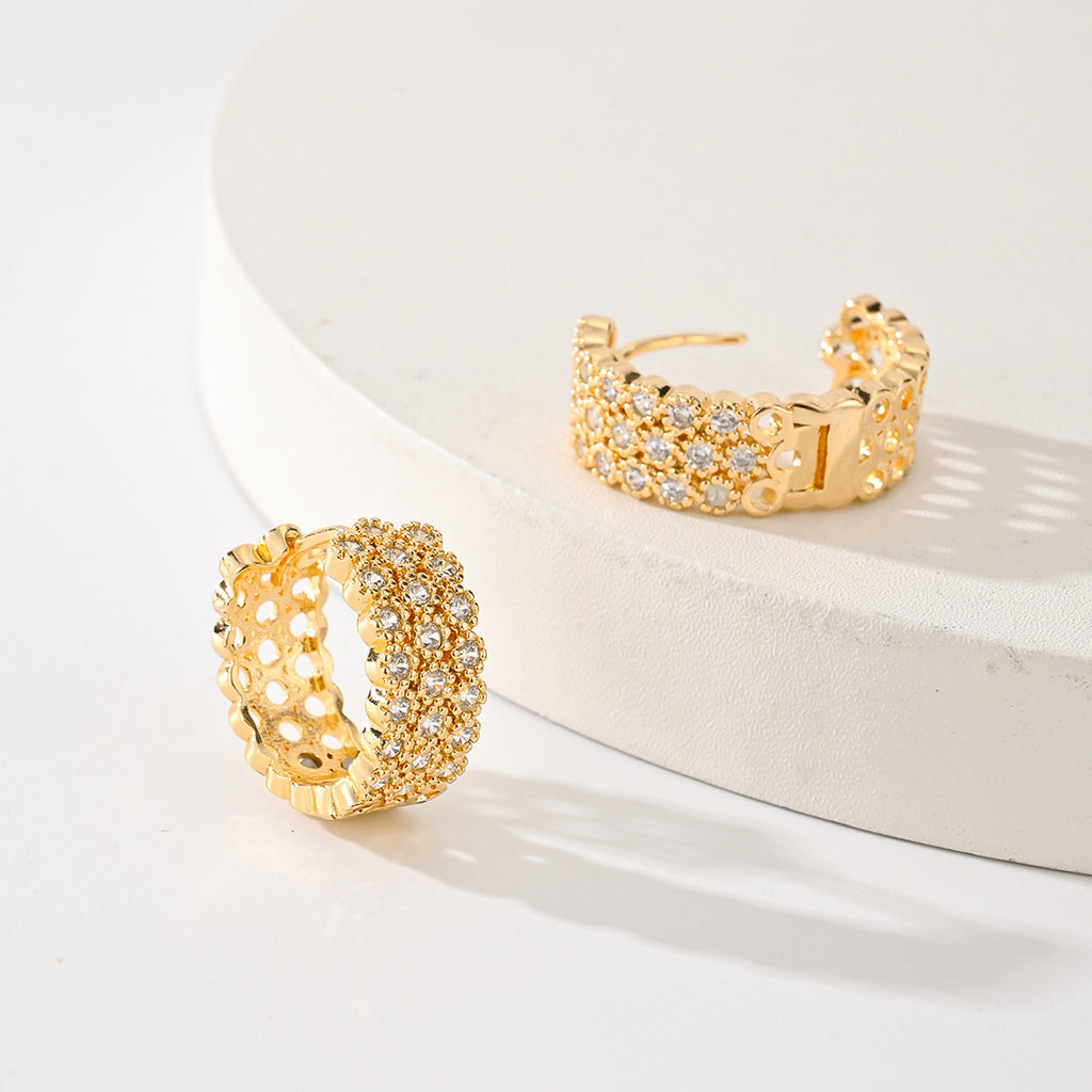 Exquisite Fashion Earrings
