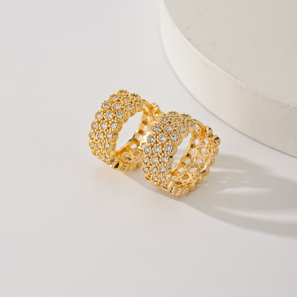 Exquisite Fashion Earrings